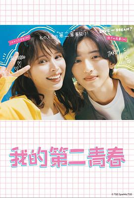 新华区上门网站优化单价